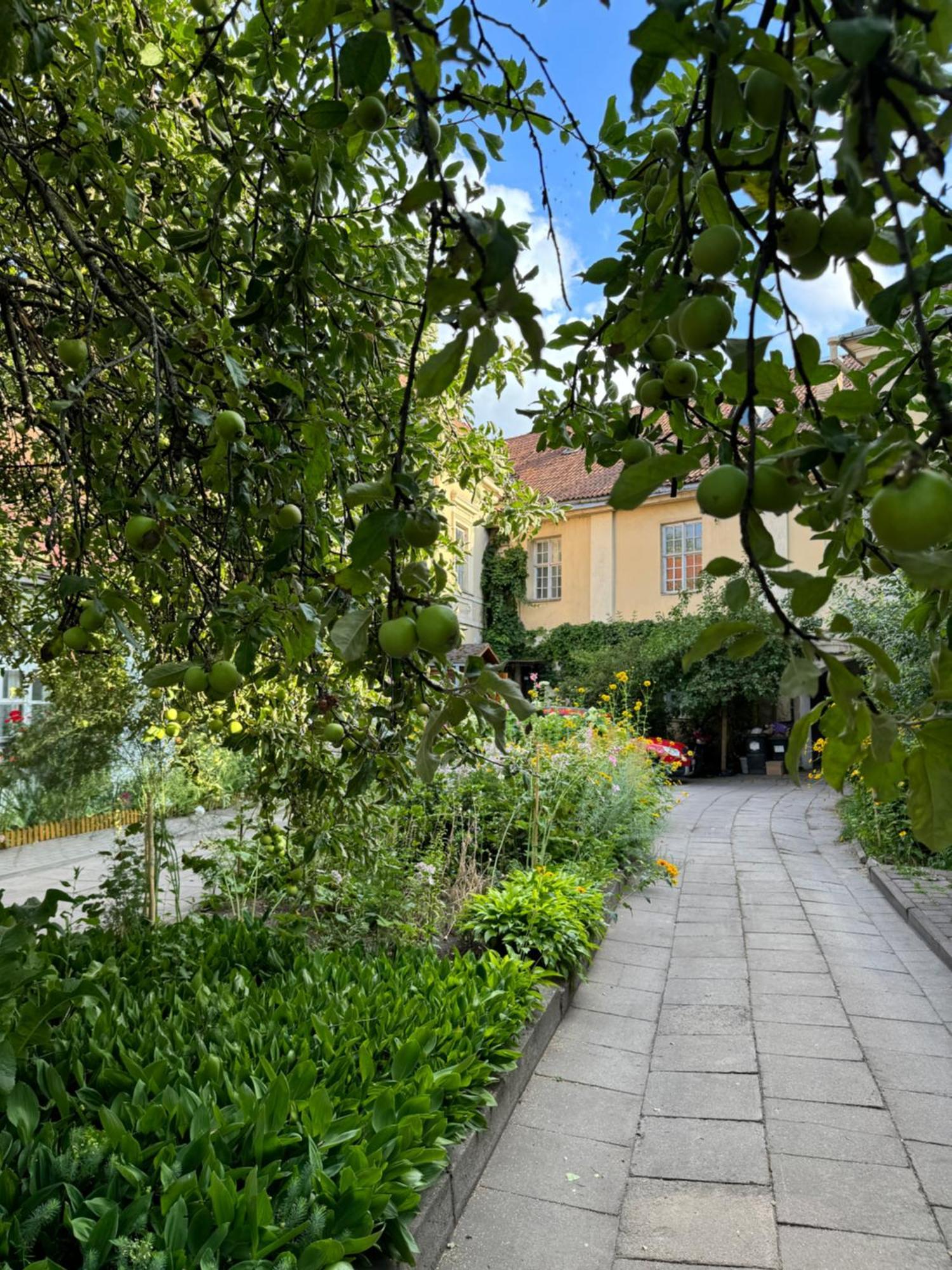 Apartament Heart Of